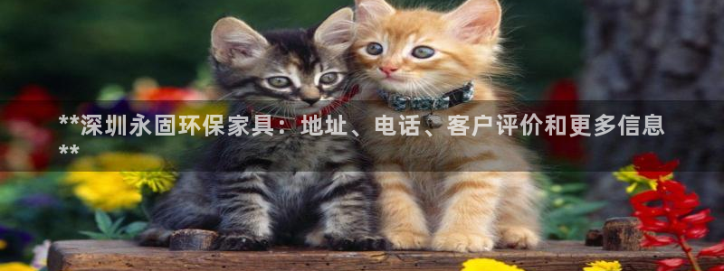 杏耀平台娱乐登陆