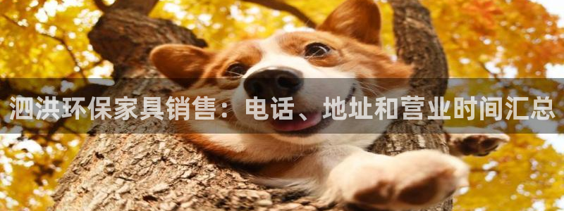 杏耀登陆电脑线路测速