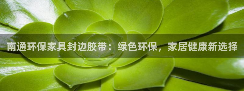 杏耀平台手机
