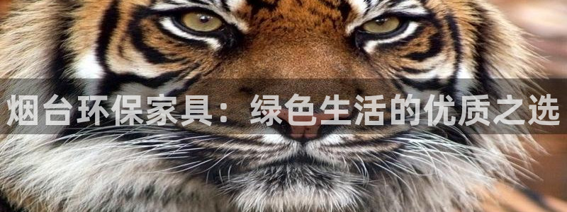 杏耀平台注册登录：烟台环保家具：绿色生活的优质之选