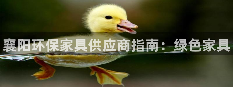 杏耀平台代理登录网址是多少：襄阳环保家具供应商指南：绿色家具