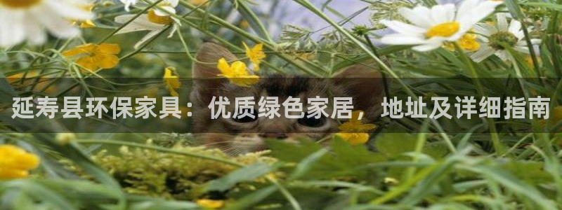 杏耀平台没有了